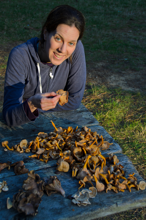 The edible mushrooms we foraged on our wild mushroom identification course. Foraging mushrooms in California.