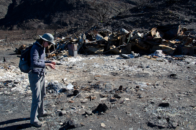 After the Fire in Torres del Paine National Park (12)