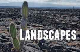 Guide to Galapagos Landscapes
