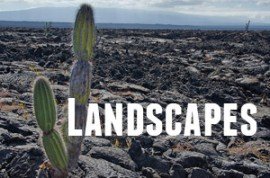 Guide to Galapagos Landscapes