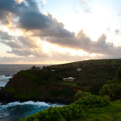 Maui: On the Wild Side