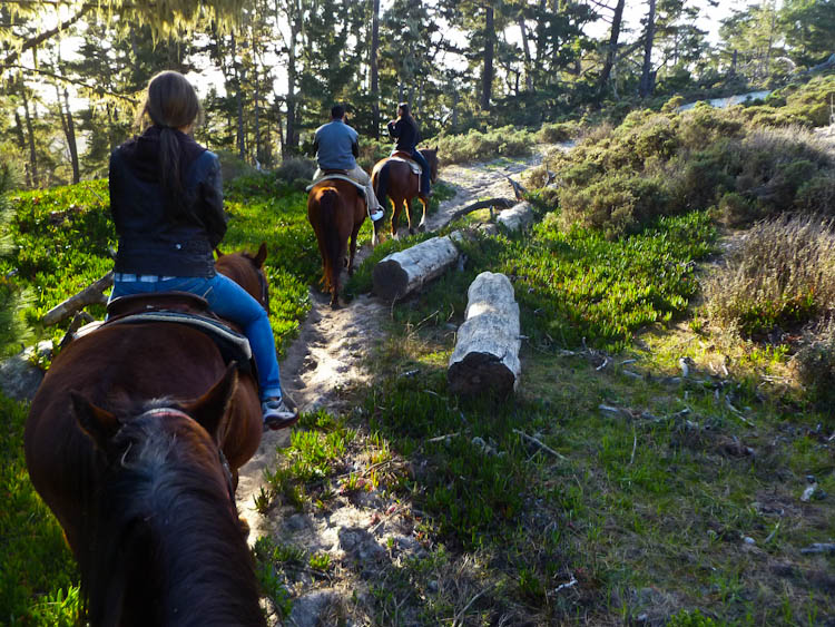 Going horseback riding on Pebble Beach: A Pebble Beach horseback riding tour.