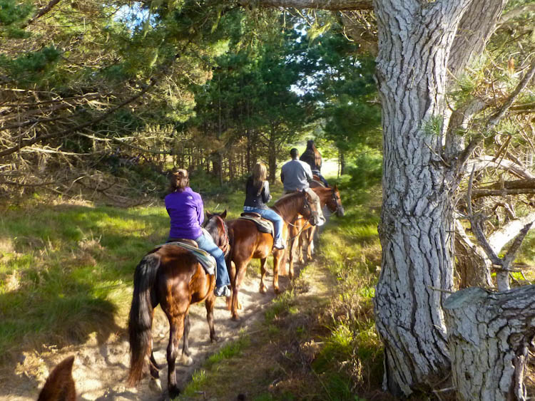 Horseback Riding on Pebble Beach