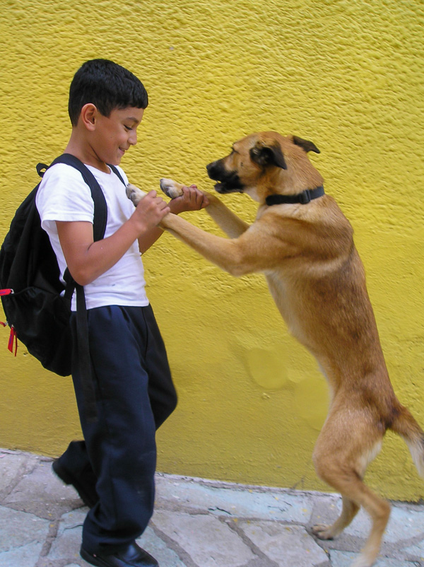 Dancing Dog - Guanajuato, Mexico
