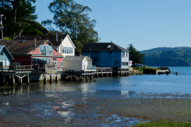 Tomales Bay, Hog Island Oyster Farm - Marshall, CA