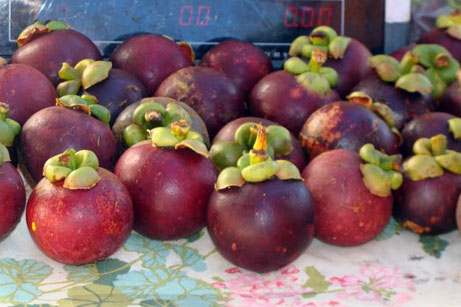 Mangosteen - Fruit of Hawaii