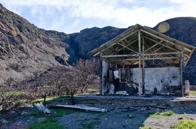 After the Fire in Torres del Paine National Park (16)