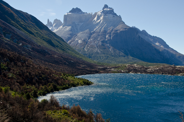 After the Fire in Torres del Paine National Park (9)