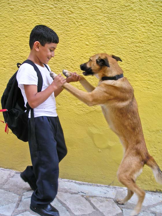 Boy and dog, Guanajuato, Mexico