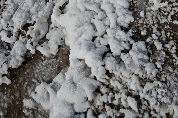 Close up of salt, Salt Creek at Death Valley