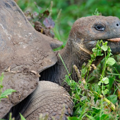 A Few Photos from the Galapagos Islands