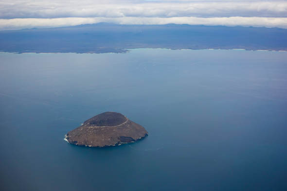 unknown galapagos island