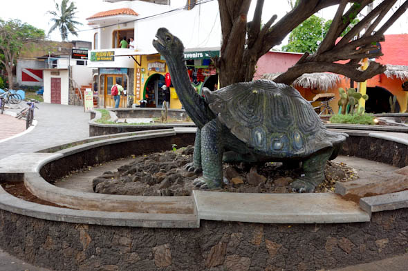 galapagos tortoise statue