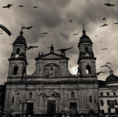 Pigeons Take Flight Over Bolívar Square, Bogotá, Colombia
