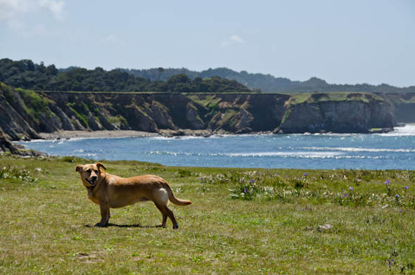 Stornetta Public Lands