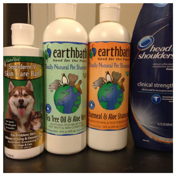 pet-shampoo