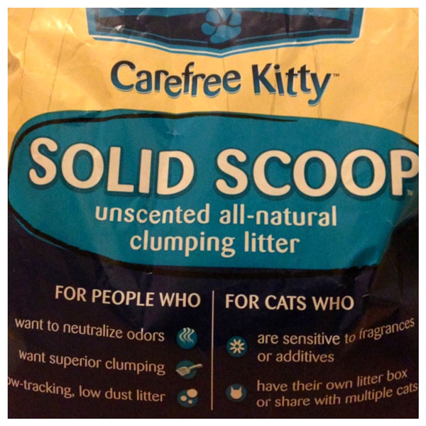 unscented-cat-litter