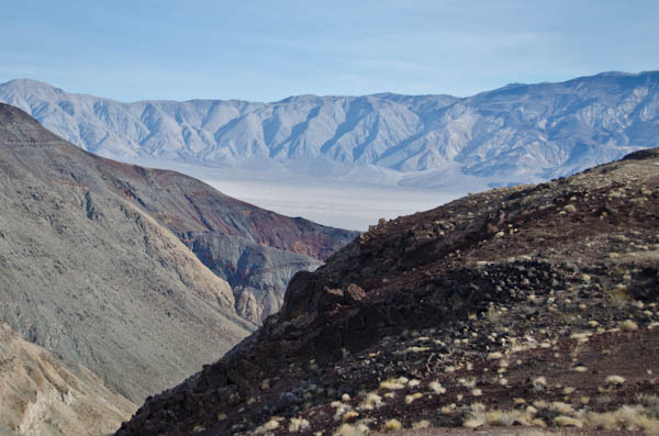 shrubs and grasses, death valley national park