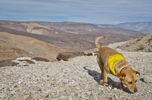 Death Valley National Park off-road hiking