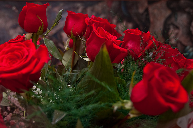 Woher kommen langstielige Rosen?