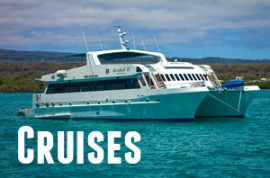 Guide to Galapagos Cruises
