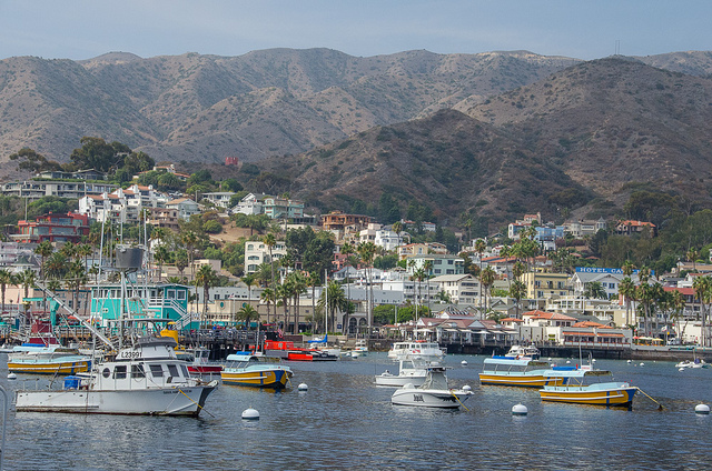 A Photo Tour of Catalina Island | Ever In Transit