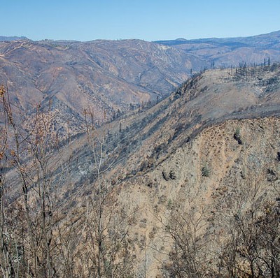 After the Rim Fire