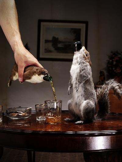 BrewDog Taxidermied Squirrels