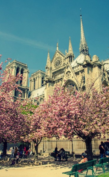 Springtime in Paris // Notre Dame Cathedral