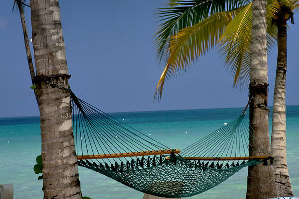 Jamaica - Hammock and Palm Trees