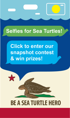 Selfies for Leatherback Sea Turtles