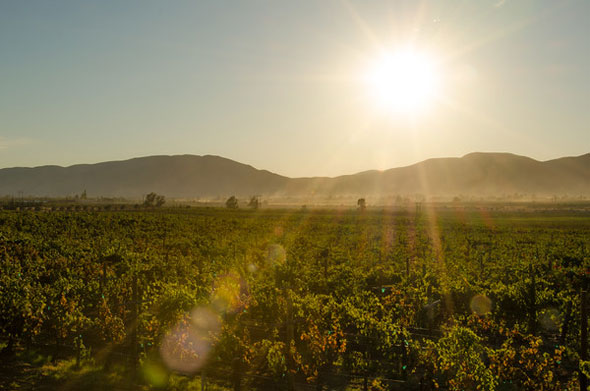 Valle de Guadalupe, Mexico