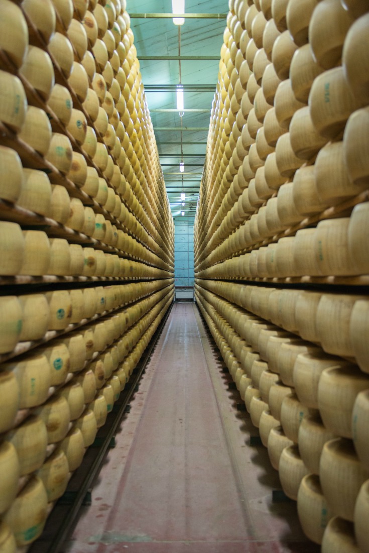 Giant wheels of Parmigiano Reggiano cheese in Modena, Italy
