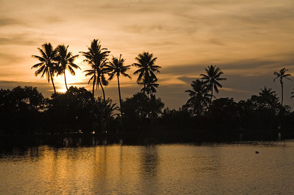 Sunset on the backwaters of Kerala, India