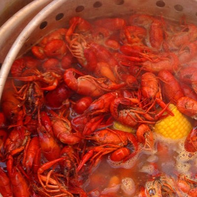 Mudbug Love: A Southern Louisiana Crawfish Boil Recipe