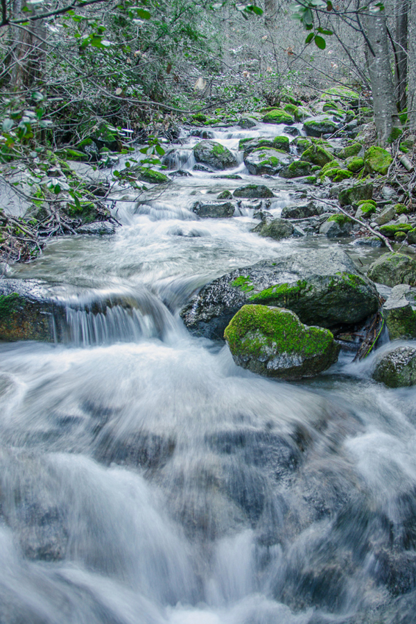 Crystal Creek at Whiskeytown National Recreation Area. Winter in California