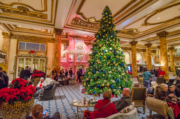 The Giant Gingerbread House | Christmas in San Francisco