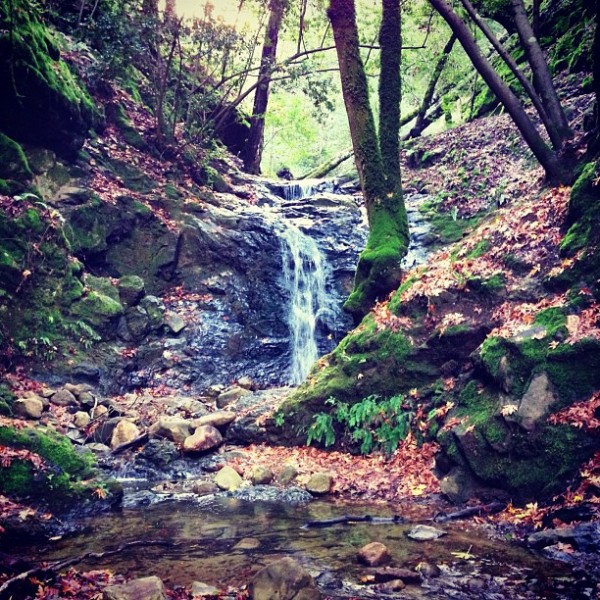 Seasonal waterfalls like this one at Uvas Canyon County Park. Reasons to love California in the Winter