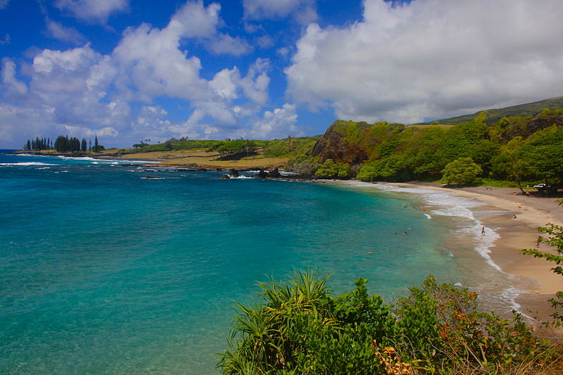 Homoa-Beach-Maui-Road-To-Hana